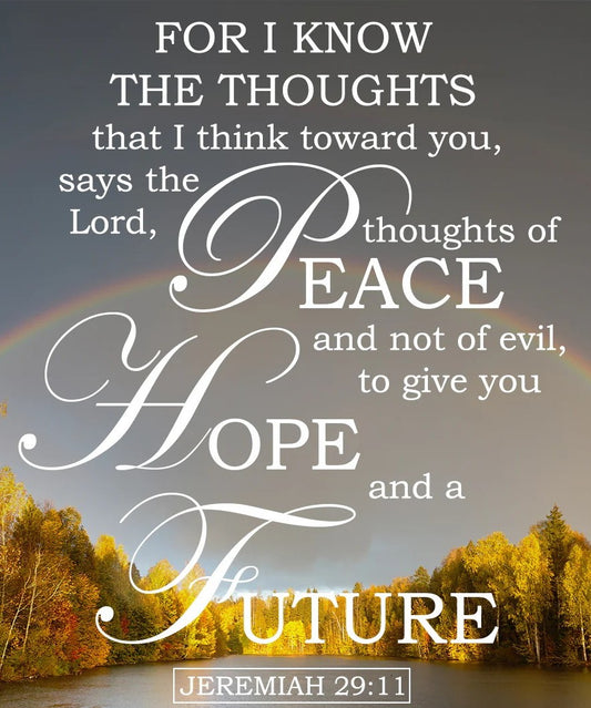 Jeremiah 29:11 T-Shirt